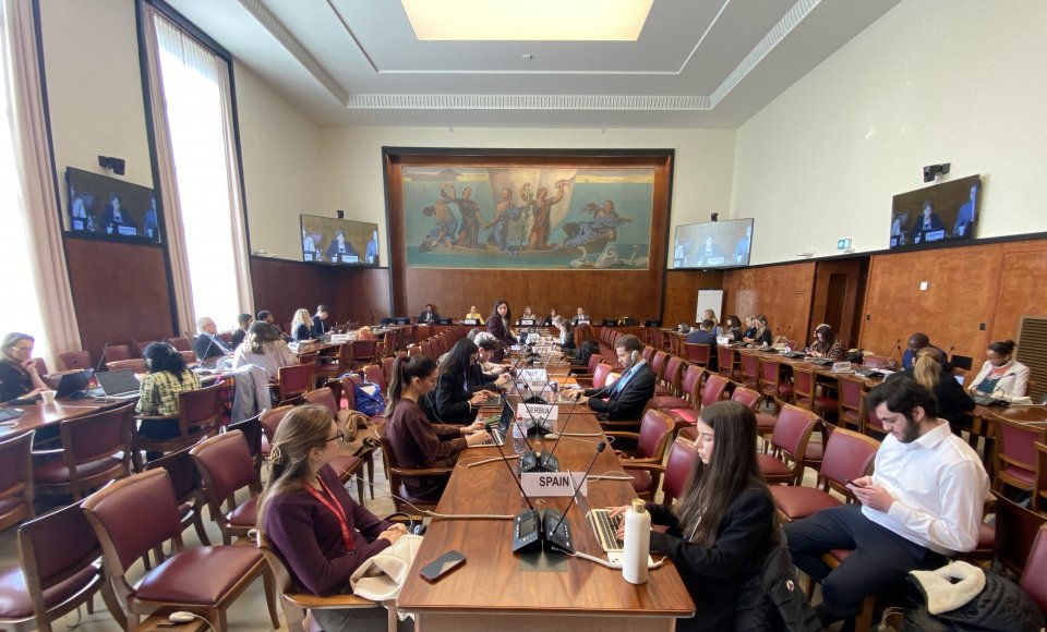 Žmogaus teisių taryboje – Lietuvos inicijuota diskusija apie asmenų su negalia saugumą humanitarinių krizių metu